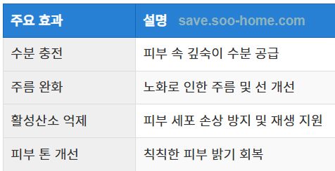 노화 방지 효과