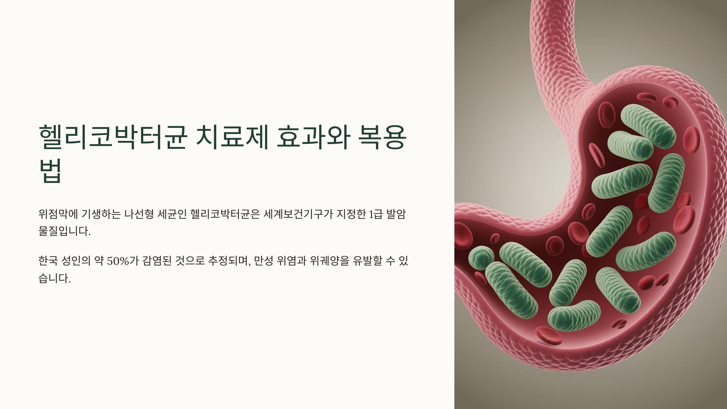 헬리코박터균 치료제 효과
