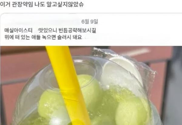 관장약 수준의 아이스티, 정체를 밝혀라