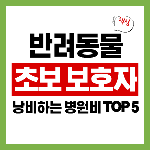 초보 보호자 필독! 몰라서 낭비하는 반려동물 병원비 TOP 5