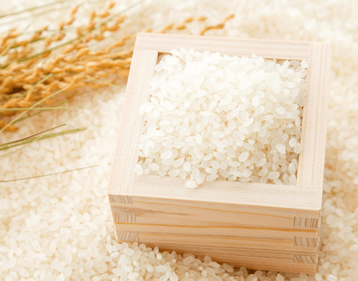 여름철 쌀 보관 (보관 법) 신선하게 유지하는 방법 알아보기