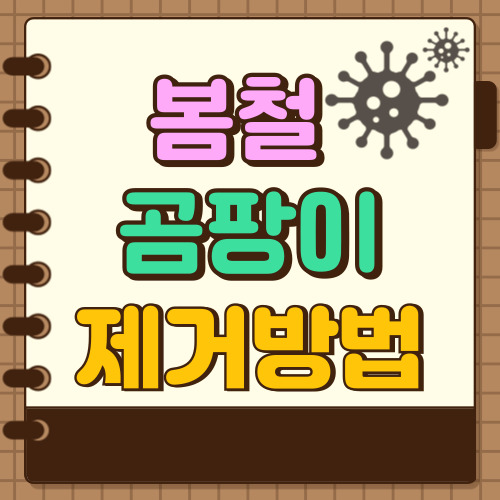 곰팡이 제거방법