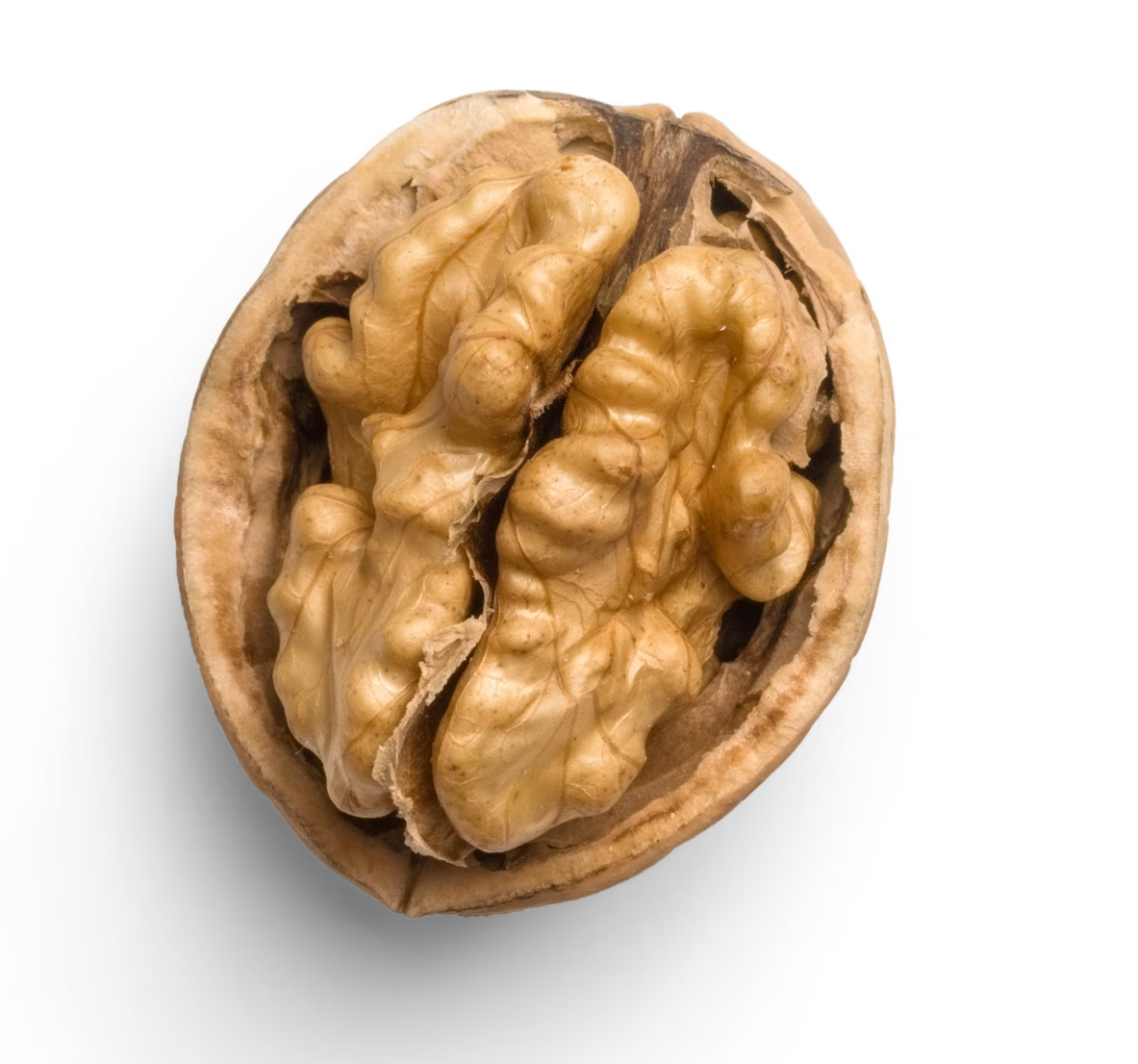 오메가3 풍부한 식품 6