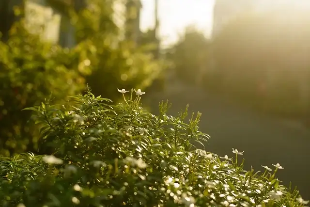 디지털 환경이 창의적 사고 회로에 미치는 장기 영향