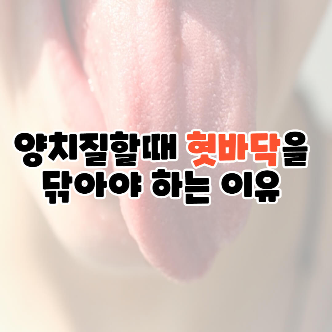 양치질할때혓바닥을닦아야하는이유