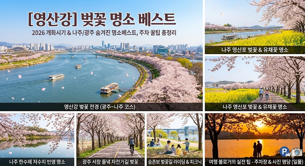 영산강 벚꽃 명소