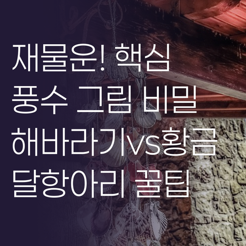 재물운 상징하는 인기 풍수 인테리어 ..