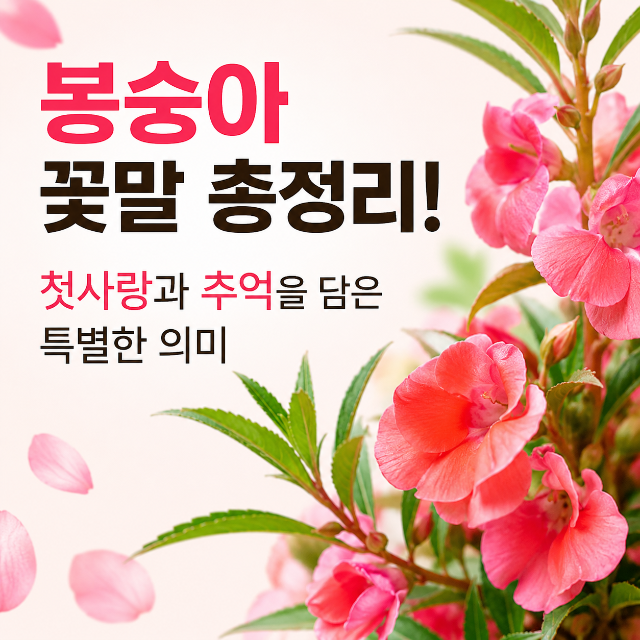 봉숭아 꽃말