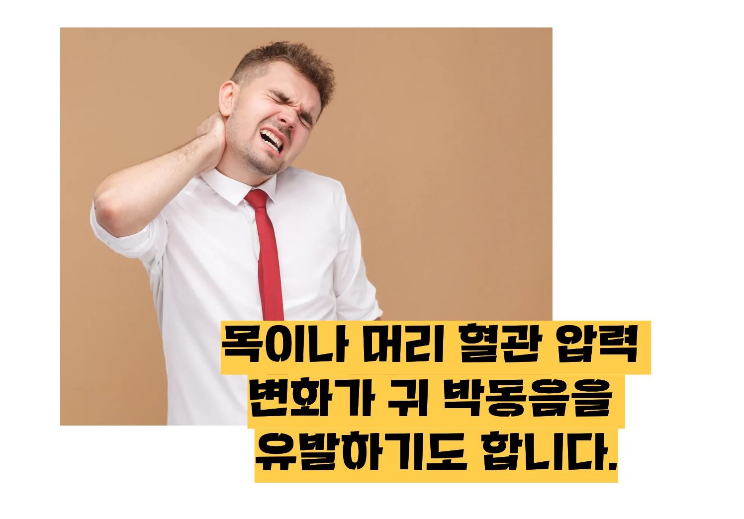귀에서 심장박동소리