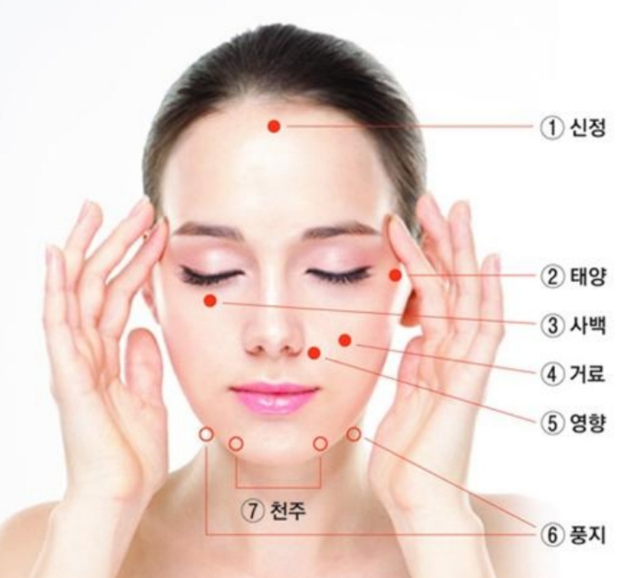 인체의 얼굴에 위치를 한 혈자리인 신정, 태양, 사백, 거료, 영향, 풍지, 천주 경혈의 위치를 나타내주는 사진