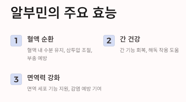 알부민의 주요 효능