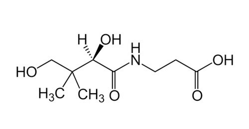 판토텐산 화학구조식
