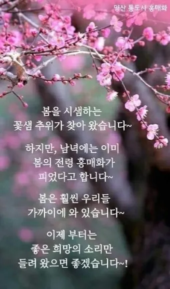 2월 인사말 예시 모음 이모티콘_20