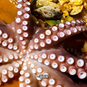 타우린 많은 음식