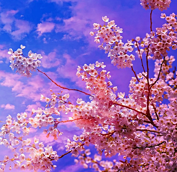 4월 인사말 문구