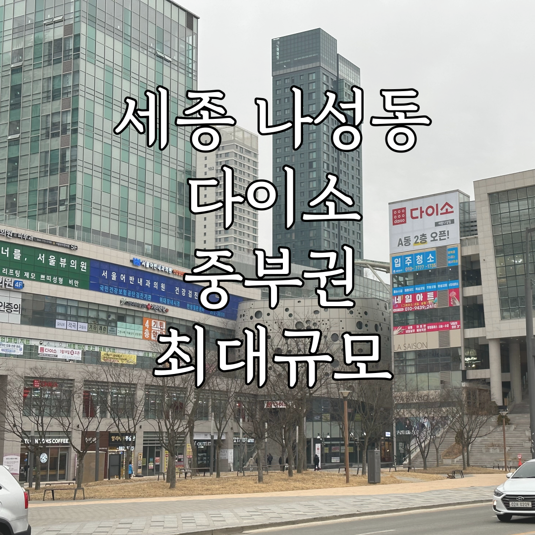 다이소나성점