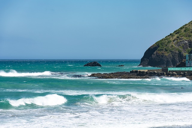 뉴질랜드 더니든 세인트 클레어 비치