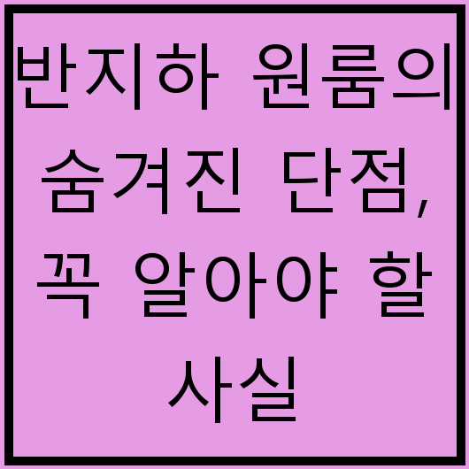 반지하 원룸의 숨겨진 단점, 꼭 알아야 할 사실