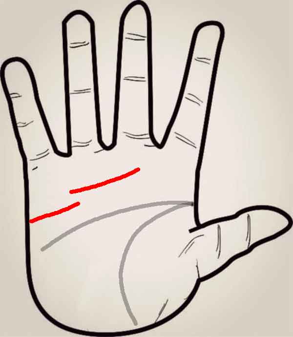 초혼에 실패하는 손금