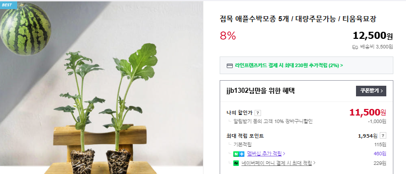 애플수박 재배법 및 심는 시기 (+ 모종 순치기 방법)