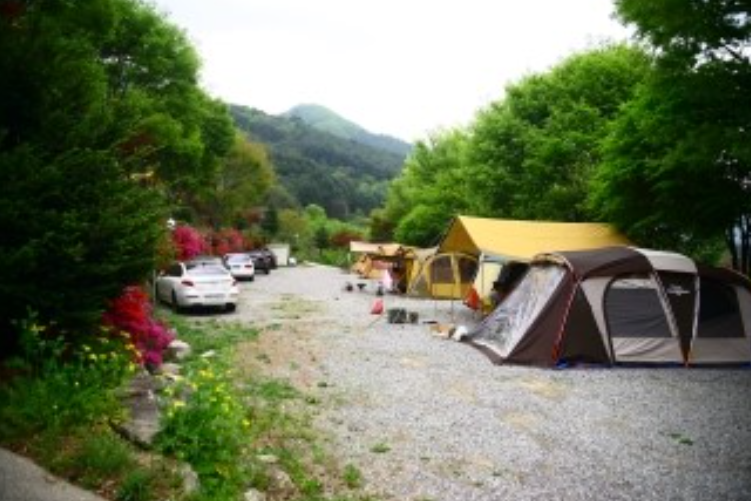 경기-가평-브라보-캠핑장-사진-입니다.