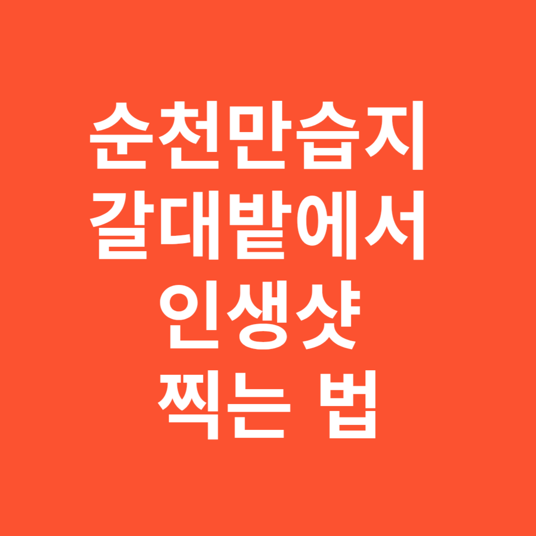 순천만습지 갈대밭에서 인생샷 찍는 법