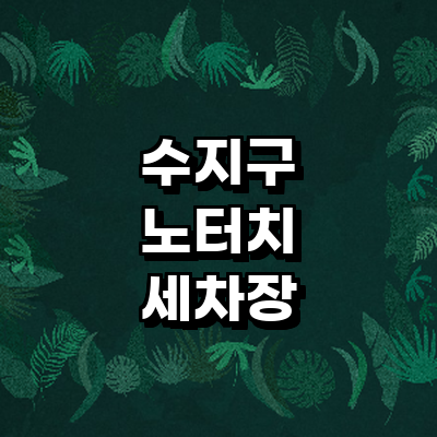 용인 수지구 노터치 세차