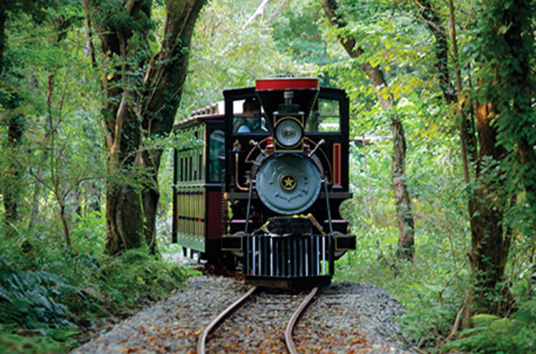제주 에코랜드 테마파크