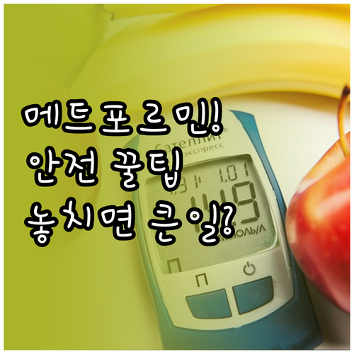 2형 당뇨 약 메트포르민 안전한 복용..