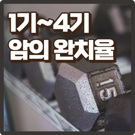 암의 단계별 완치율