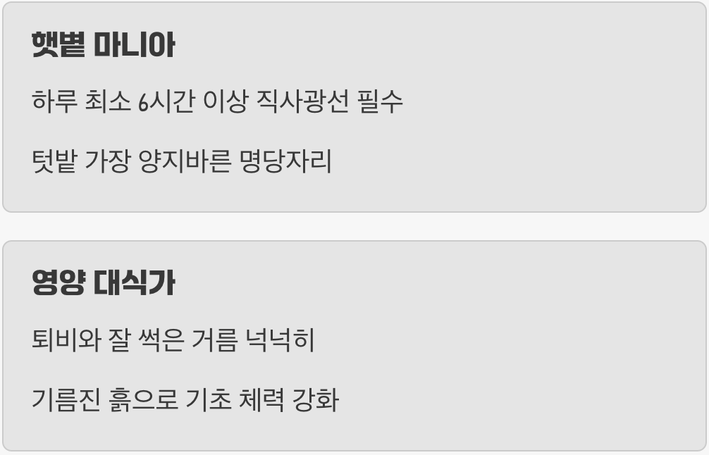 햇볕을 사랑하는 대식가