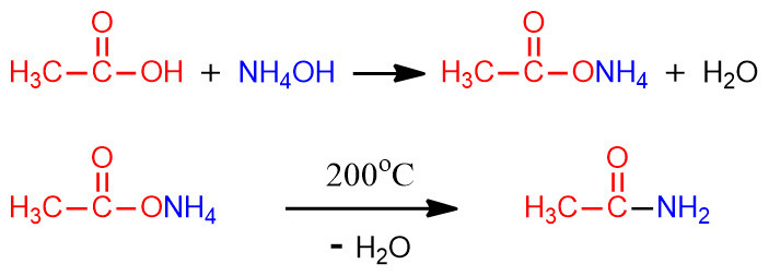 Amidation -CONH2 structure