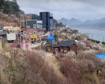 원동 미나리축제_16