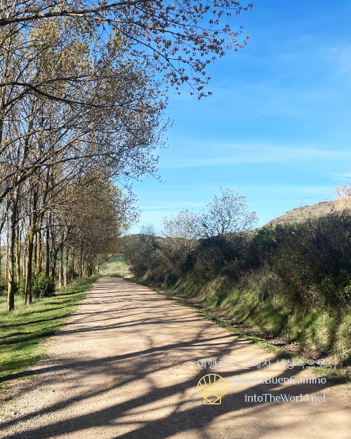 Camino de Santiago, 산티아고 순례길