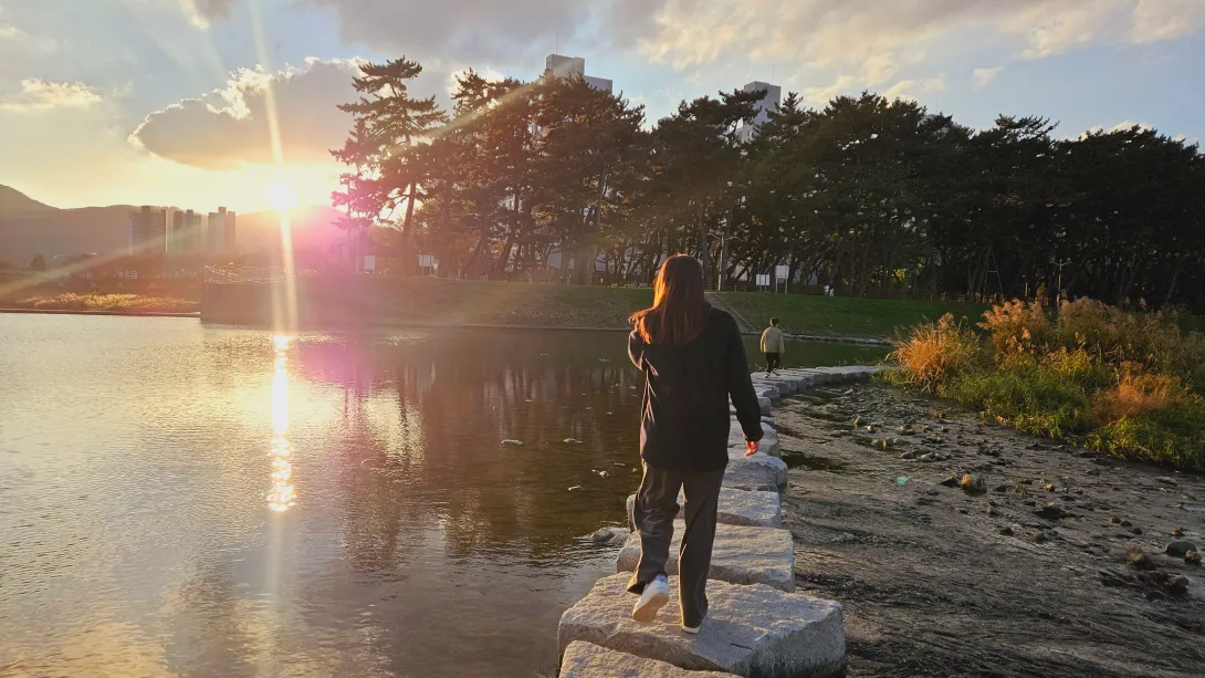밀양 맥문동 맨발걷기