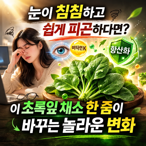 눈이 침침하고 쉽게 피곤하다면? 이 초록잎 채소 한 줌이 바꾸는 놀라운 변화