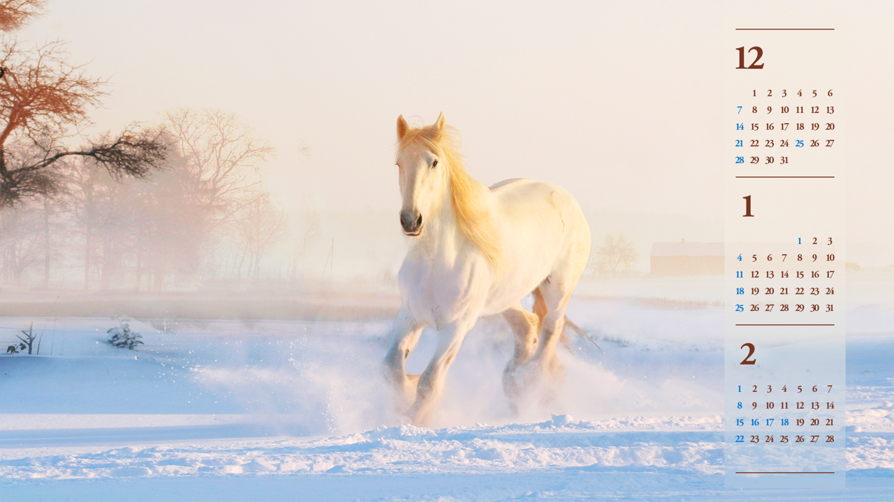 02 눈 위를 달리는 흰색 말 B - 2026년1월 달력배경화면