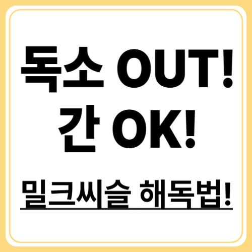 밀크씨슬 해독 효과, 알코올&middot;독소 OUT! 간이 좋아하는 식단