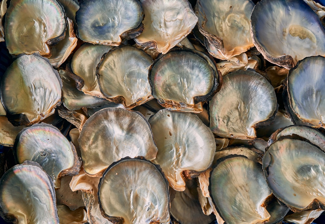 Grilled oyster