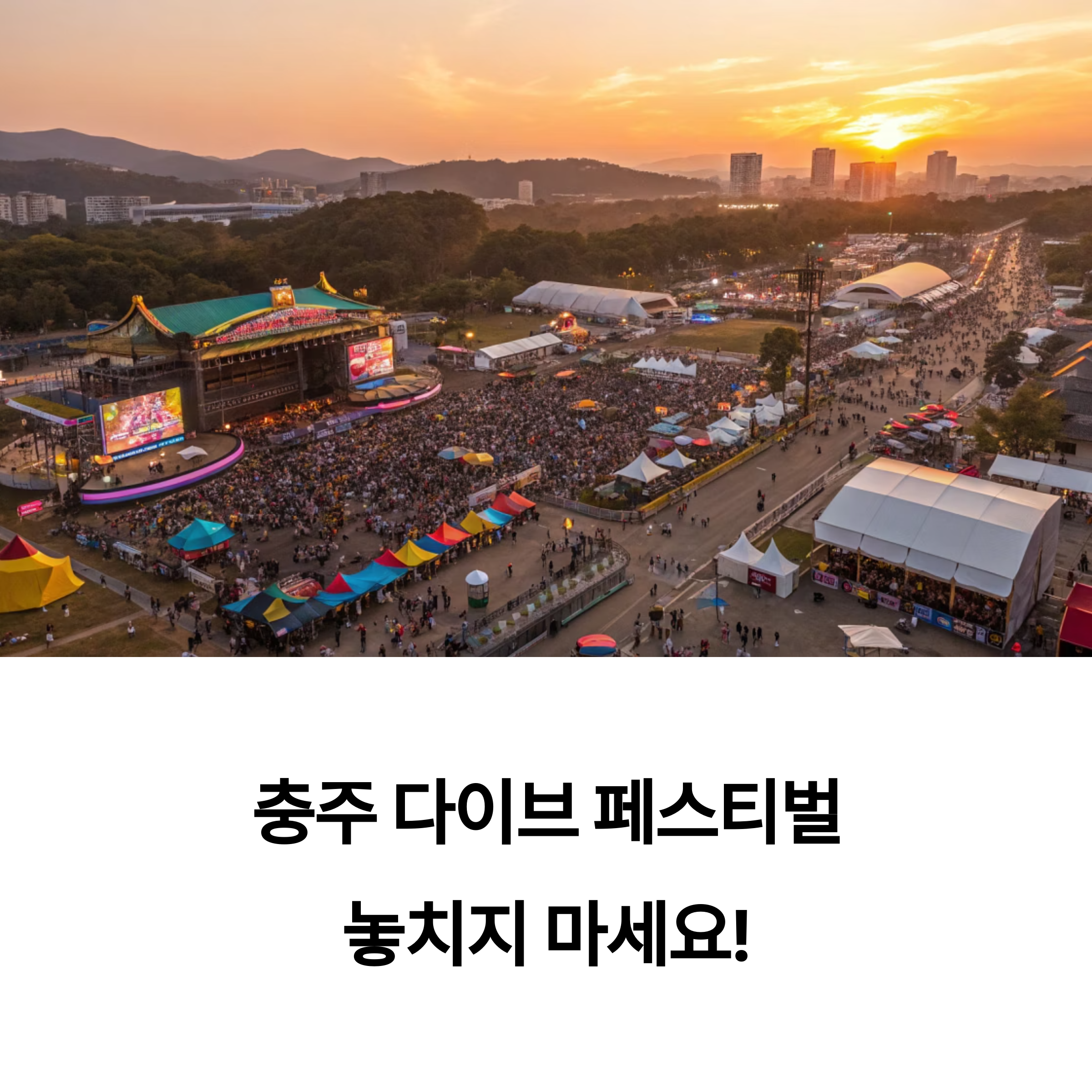 다이브 페스티벌