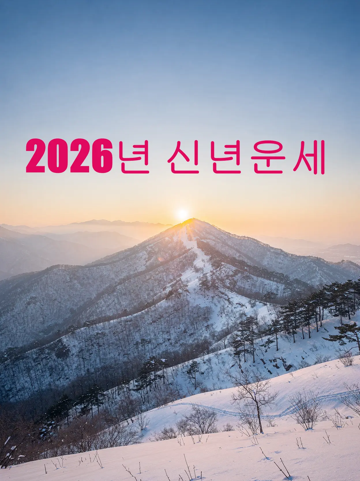 2026 신년운세