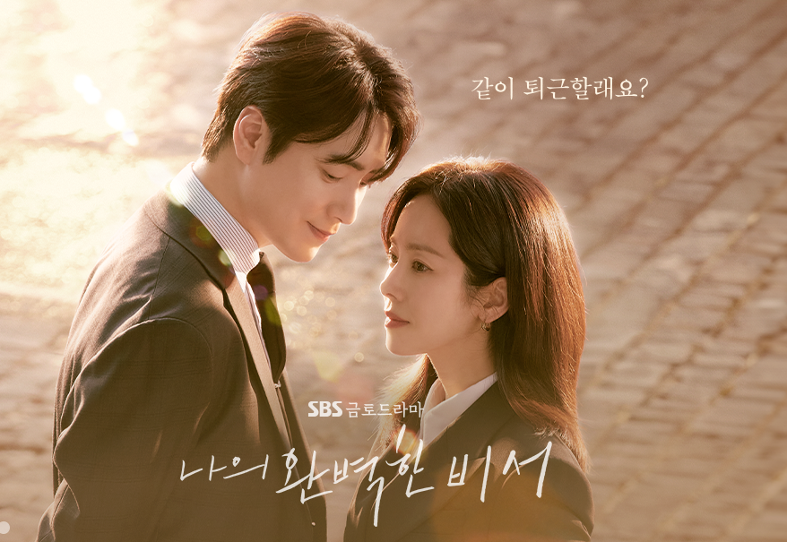 나의 완벽한 비서 정보 줄거리 출연진 등장인물 관계도 다시보기 정보