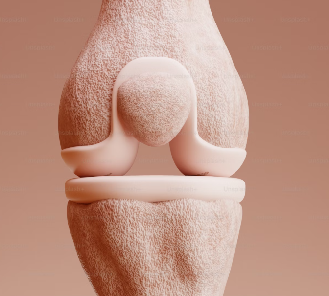 콘드로이친의 모든 것: 종류별 효능과 현명한 선택 가이드