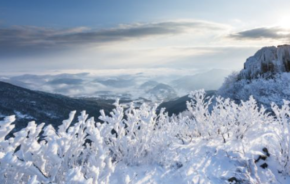 1월 전라도 광주 가볼만한곳 추천 ❘ 국내 겨울 여행지 ❘ 데이트 가족 당일치기 여행
