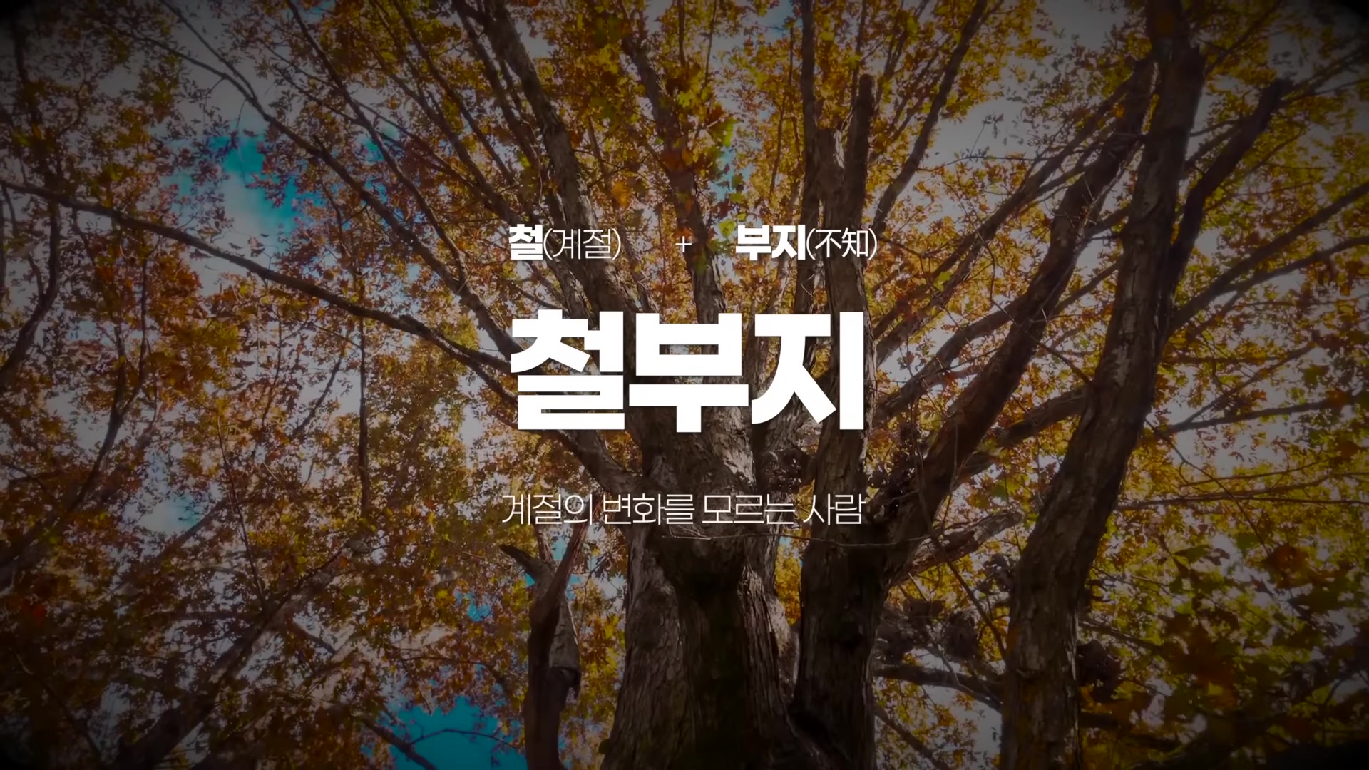 철부지