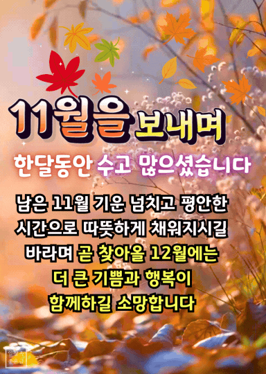가을 낙엽 배경에 11월 인사말 문구가 함께 담긴 따뜻한 느낌의 메시지 이미지