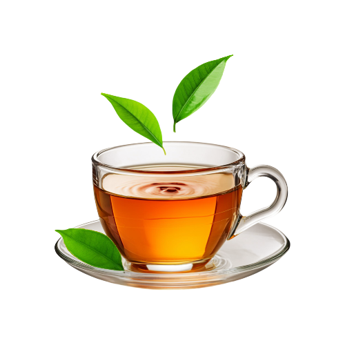 혈압조절,자연식품,고혈압,심혈관계,한방차