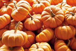 기관지에 좋은 음식28