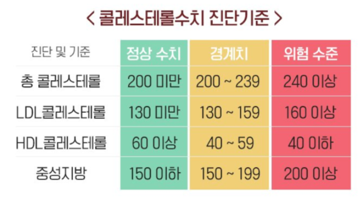 콜레스테롤 수치