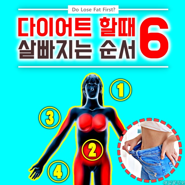 살빠지는 순서 다이어트 팁줌